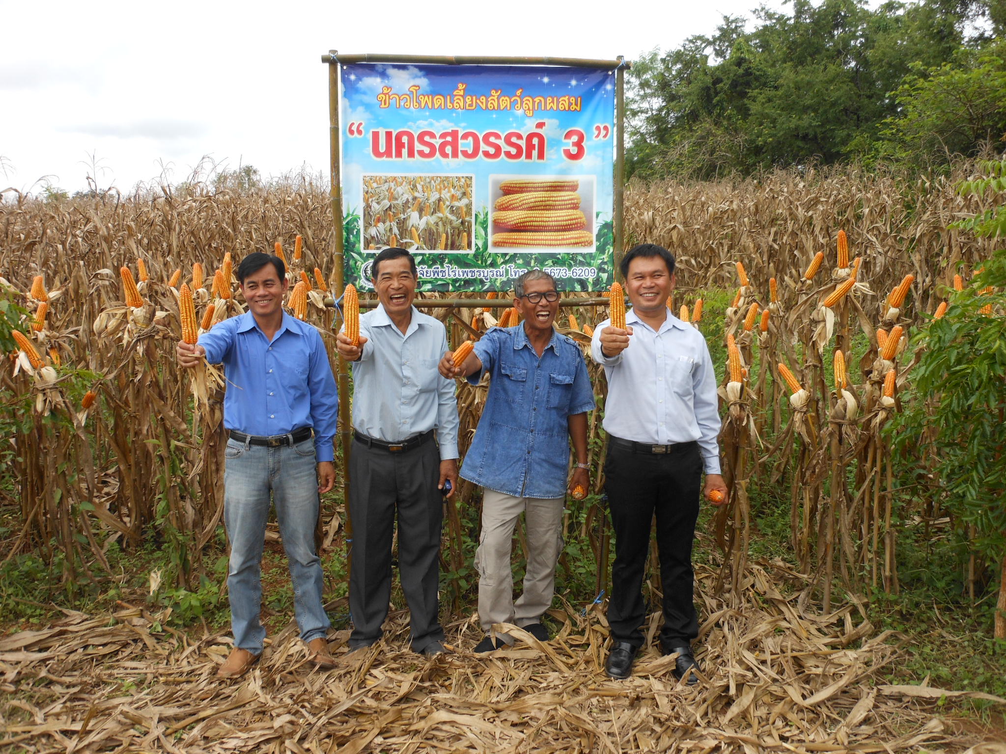หมู่บ้านเมล็ดพันธุ์ข้าวโพด